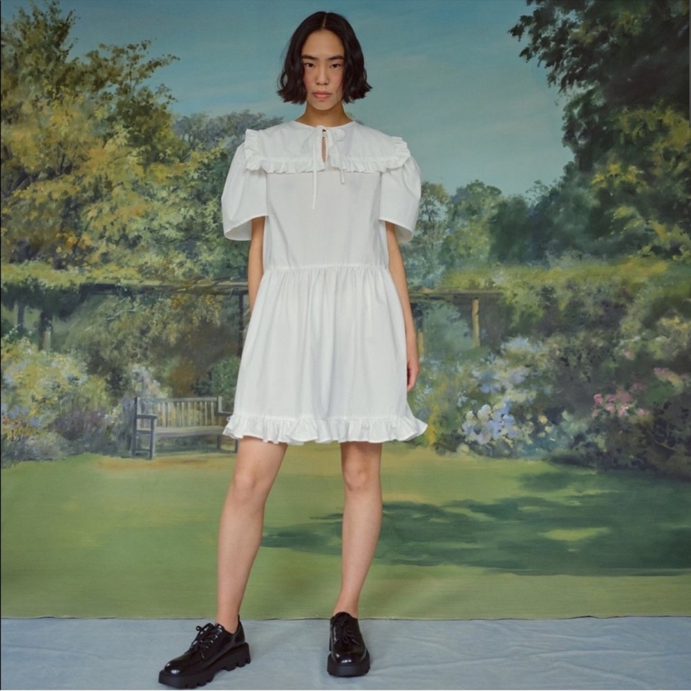 NAYA REA Oriel Dress w/ detachable collar - NWT